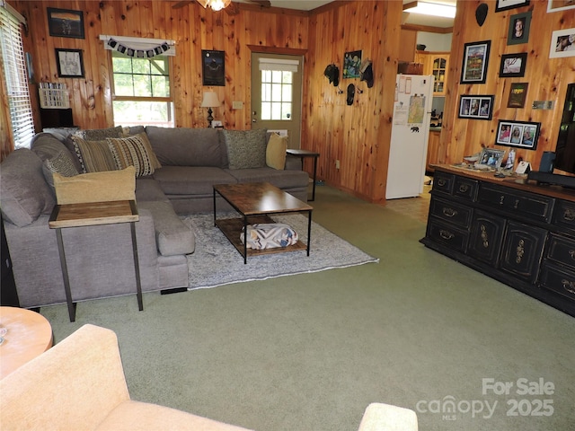 674 Johnsons River Bend Ln, Bakersville, NC 28705 - photo 15