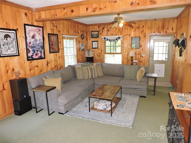 674 Johnsons River Bend Ln, Bakersville, NC 28705 - photo 16