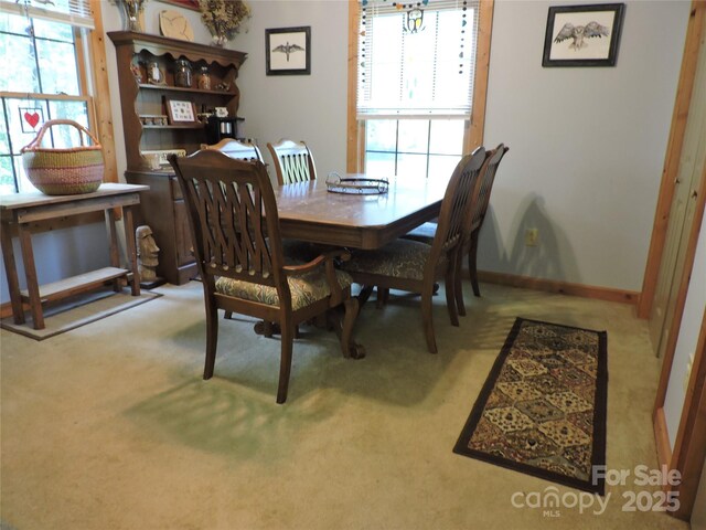 674 Johnsons River Bend Ln, Bakersville, NC 28705 - photo 18