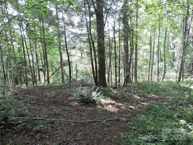 674 Johnsons River Bend Ln, Bakersville, NC 28705 - photo 43