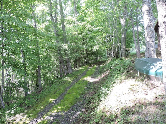 674 Johnsons River Bend Ln, Bakersville, NC 28705 - photo 44