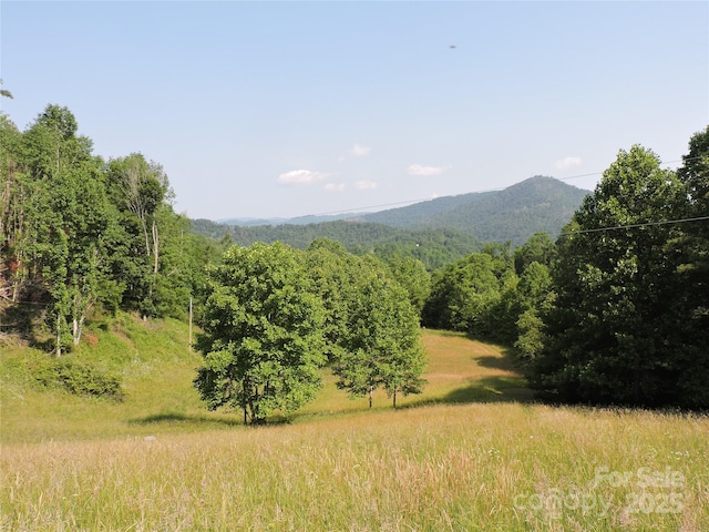 674 Johnsons River Bend Ln, Bakersville, NC 28705 - photo 45