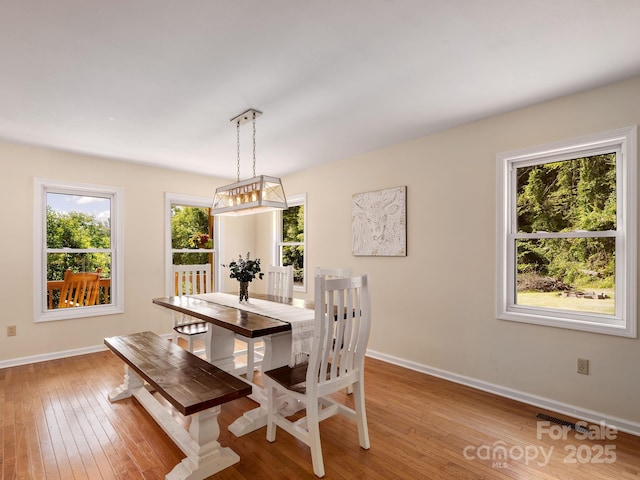 345 Bob Barnwell Rd, Fletcher, NC 28732 - dining area with plenty of natural light and light wood-type flooring