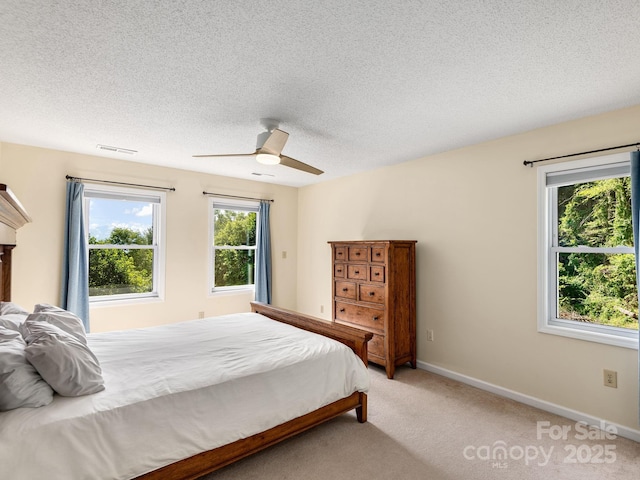345 Bob Barnwell Rd, Fletcher, NC 28732 - bedroom featuring multiple windows, a textured ceiling, light carpet, and ceiling fan