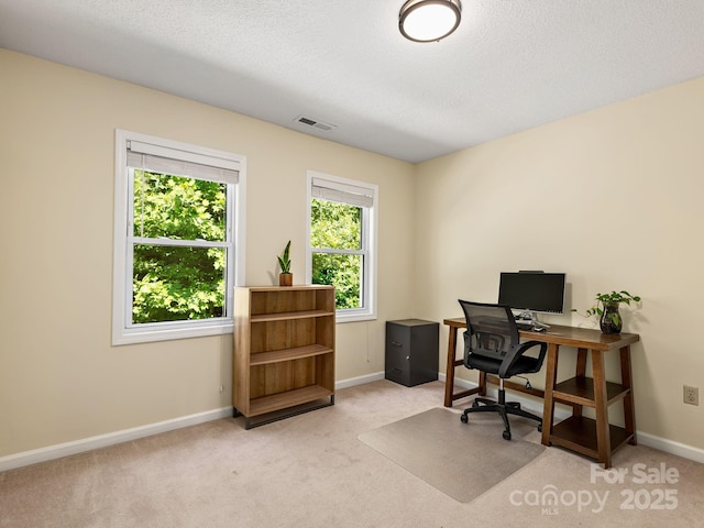 345 Bob Barnwell Rd, Fletcher, NC 28732 - home office featuring light carpet and a textured ceiling