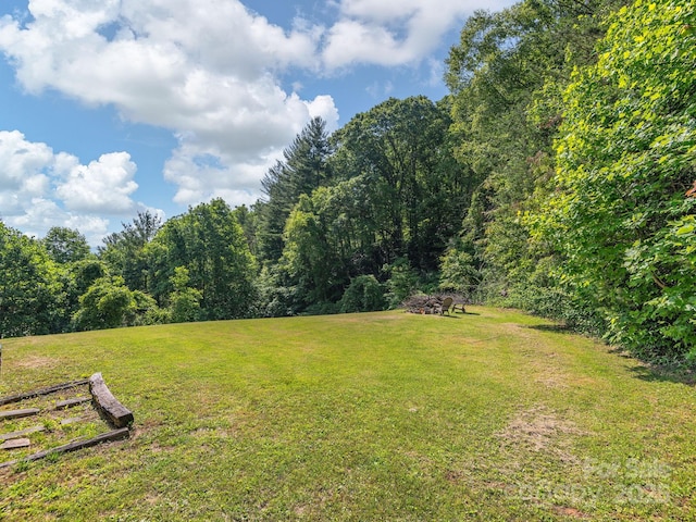 345 Bob Barnwell Rd, Fletcher, NC 28732 - view of grassy yard with a forest view and a rural view