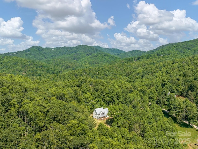 345 Bob Barnwell Rd, Fletcher, NC 28732 - view of mountain background with a heavily wooded area