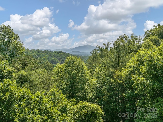 345 Bob Barnwell Rd, Fletcher, NC 28732 - view of mountain background featuring a forest