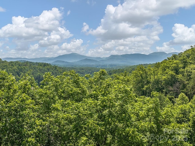 345 Bob Barnwell Rd, Fletcher, NC 28732 - view of mountain backdrop featuring a heavily wooded area