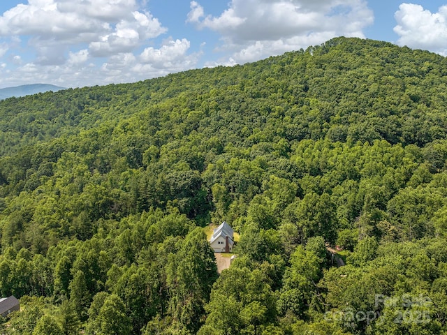 345 Bob Barnwell Rd, Fletcher, NC 28732 - drone / aerial view of a heavily wooded area