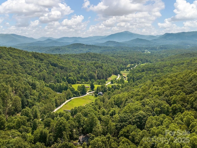 345 Bob Barnwell Rd, Fletcher, NC 28732 - bird's eye view of a heavily wooded area and mountains