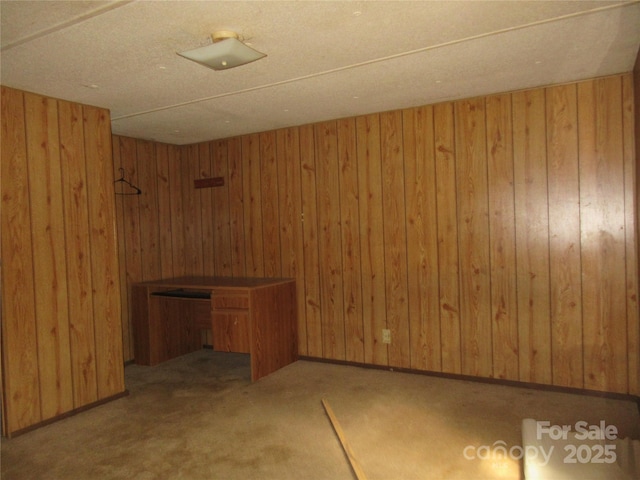 2927 S NC-16 Hwy, Newton, NC 28658 - interior space featuring wood walls and carpet