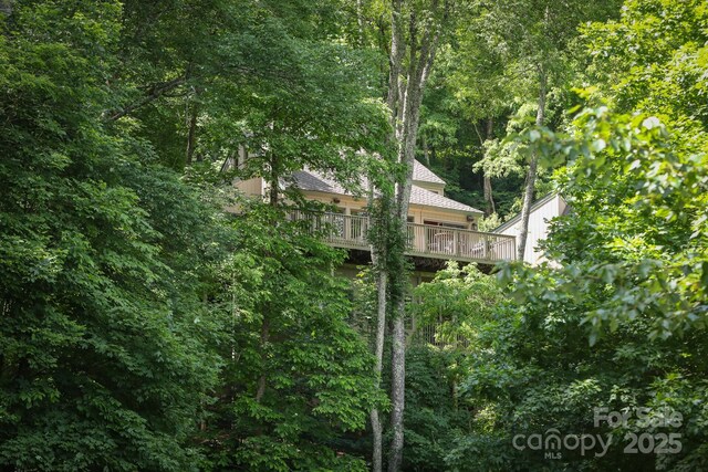 71 Ivy Ridge Rd, Burnsville, NC 28714 - photo 27