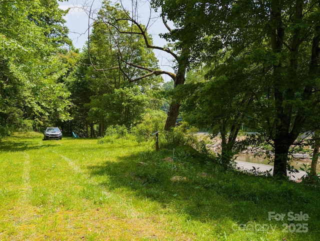 TBD Phillips Rd, Burnsville, NC 28714 - photo 4