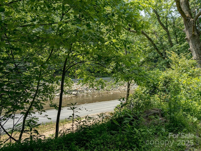 TBD Phillips Rd, Burnsville, NC 28714 - photo 5