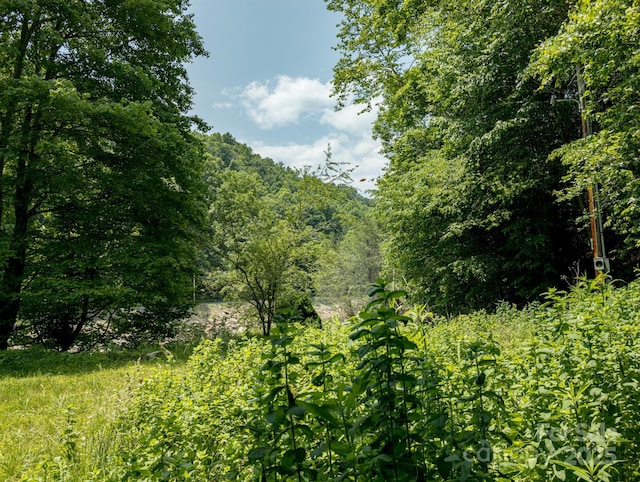 TBD Phillips Rd, Burnsville, NC 28714 - photo 6