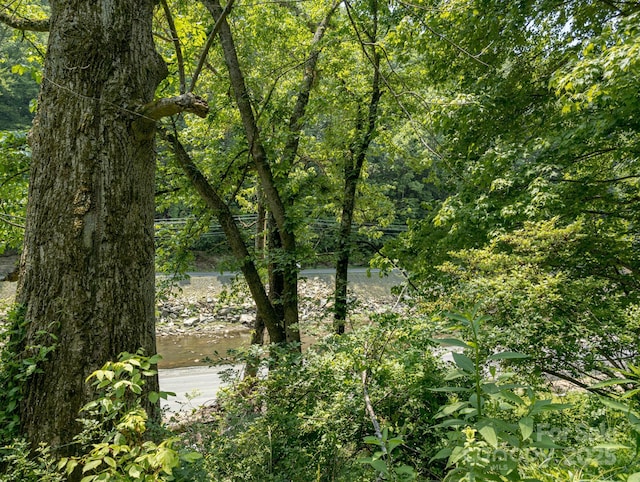 TBD Phillips Rd, Burnsville, NC 28714 - photo 10