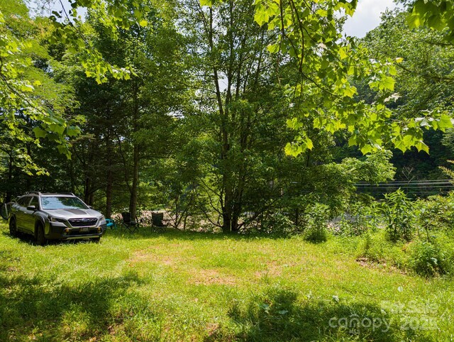 TBD Phillips Rd, Burnsville, NC 28714 - photo 12