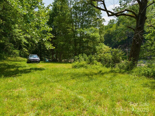 TBD Phillips Rd, Burnsville, NC 28714 - photo 13