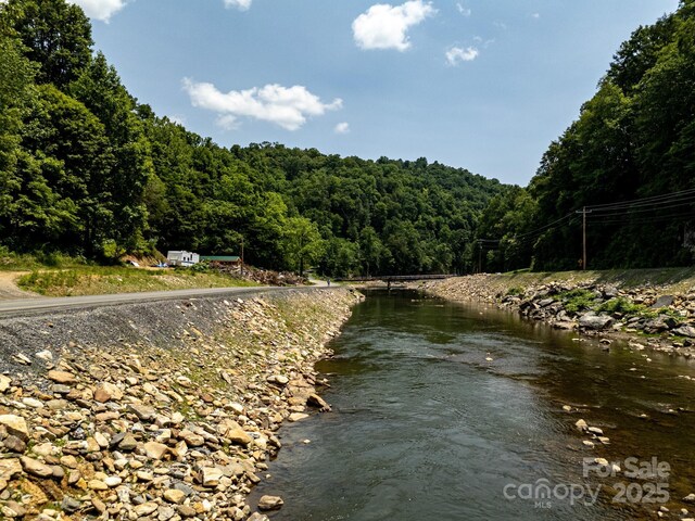 TBD Phillips Rd, Burnsville, NC 28714 - photo 16