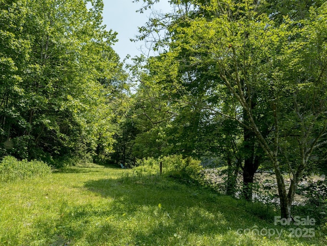TBD Phillips Rd, Burnsville, NC 28714 - photo 17