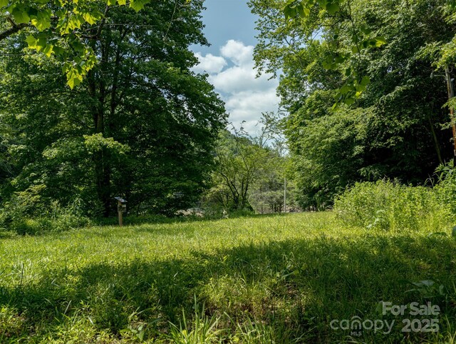 TBD Phillips Rd, Burnsville, NC 28714 - photo 20