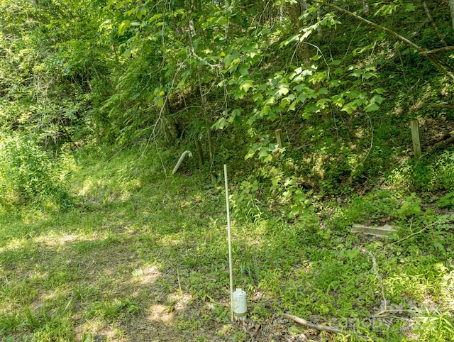 TBD Phillips Rd, Burnsville, NC 28714 - photo 21