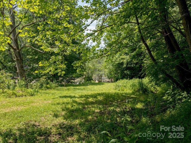 TBD Phillips Rd, Burnsville, NC 28714 - photo 23