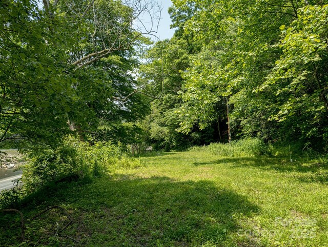 TBD Phillips Rd, Burnsville, NC 28714 - photo 27