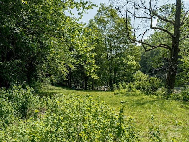 TBD Phillips Rd, Burnsville, NC 28714 - photo 28