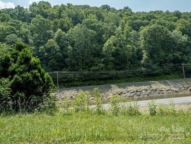 TBD Phillips Rd, Burnsville, NC 28714 - photo 29