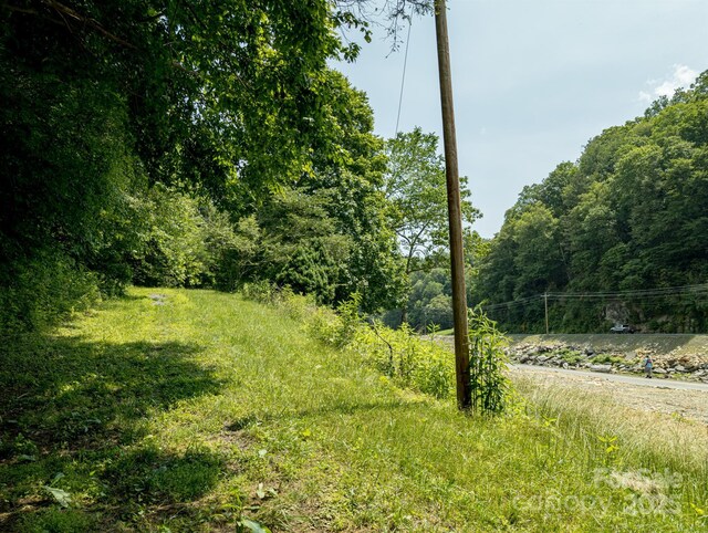 TBD Phillips Rd, Burnsville, NC 28714 - photo 30