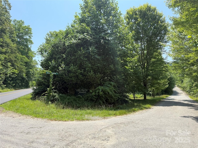 LOT13 Rhododendron Dr Unit 13, Saluda, NC 28773