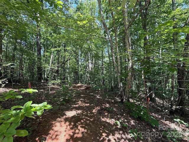 LOT13 Rhododendron Dr Unit 13, Saluda, NC 28773
