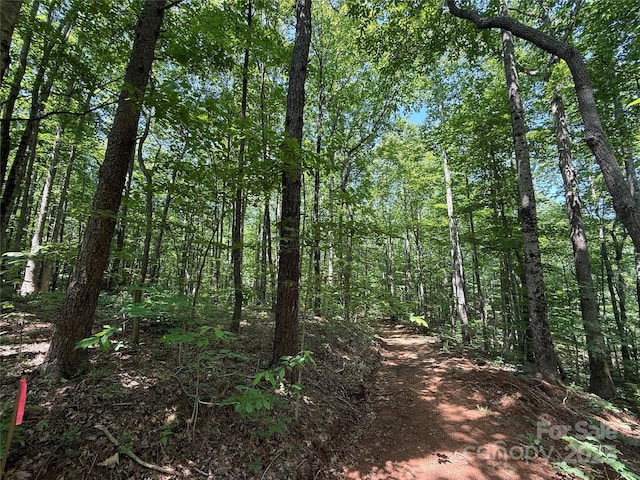 LOT13 Rhododendron Dr Unit 13, Saluda, NC 28773