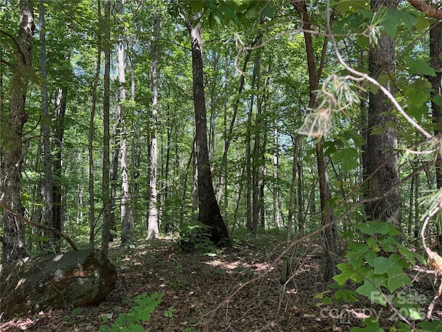 LOT13 Rhododendron Dr Unit 13, Saluda, NC 28773