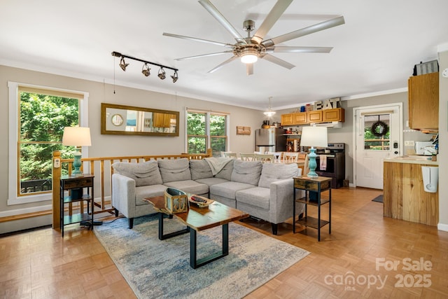 37 Poplar Dr, Rosman, NC 28772 - living room with a ceiling fan, track lighting, and crown molding