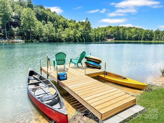37 Poplar Dr, Rosman, NC 28772 - dock with a water view and a forest view