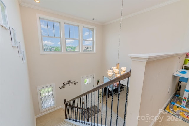410 Alucio Ct, Matthews, NC 28104 - photo 25