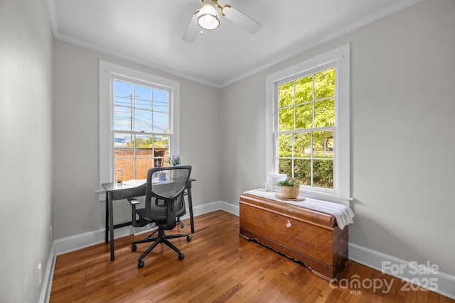 2 Enka Orchard St Unit 21A, Candler, NC 28715 - office area with healthy amount of natural light, hardwood / wood-style floors, crown molding, and ceiling fan