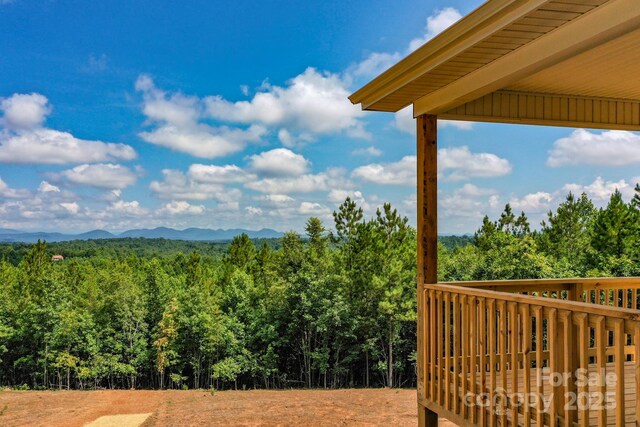 160 Northridge Dr, Rutherfordton, NC 28139 - photo 32