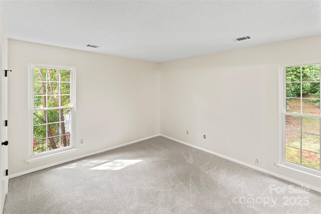 10016 Heathergate Ln, Mint Hill, NC 28227 - photo 14