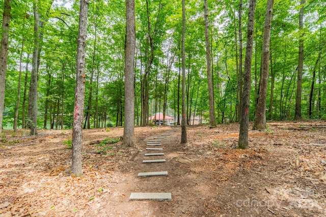 4028 Spindrift Cove Dr Unit 59And 60, Denver, NC 28037 - photo 44