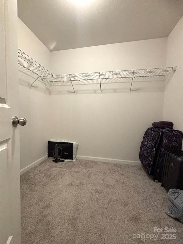 1916 Country Way, Hickory, NC 28601 - spacious closet featuring carpet