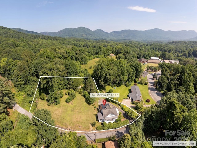 34 Lockhart Rd, Tryon, NC 28782 - view of property location featuring property boundaries highlighted and mountains