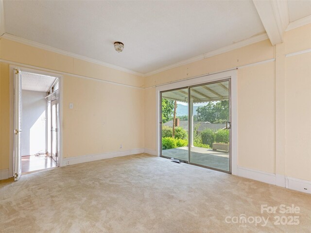 34 Lockhart Rd, Tryon, NC 28782 - unfurnished room featuring carpet and crown molding