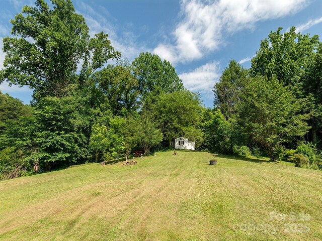 34 Lockhart Rd, Tryon, NC 28782 - view of green lawn with a storage shed