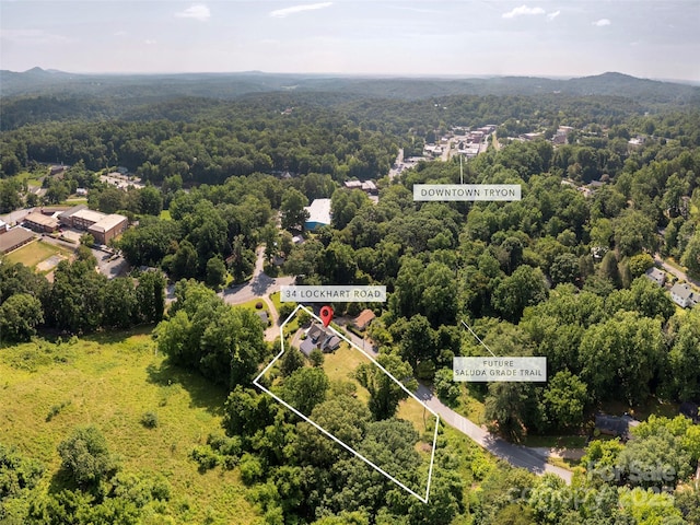 34 Lockhart Rd, Tryon, NC 28782 - view of property location featuring a forest and property boundaries highlighted