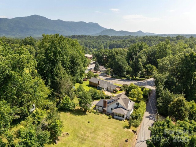 34 Lockhart Rd, Tryon, NC 28782 - bird's eye view of a forest and a mountainous background