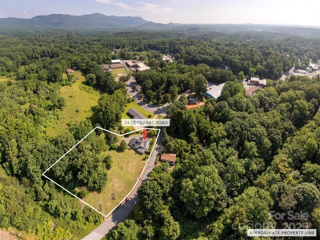 34 Lockhart Rd, Tryon, NC 28782 - aerial view of property and surrounding area featuring a heavily wooded area and property parcel outlined
